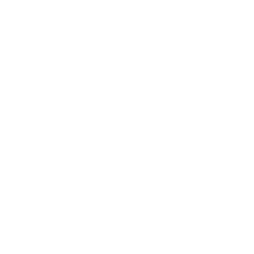 BNM Consulting